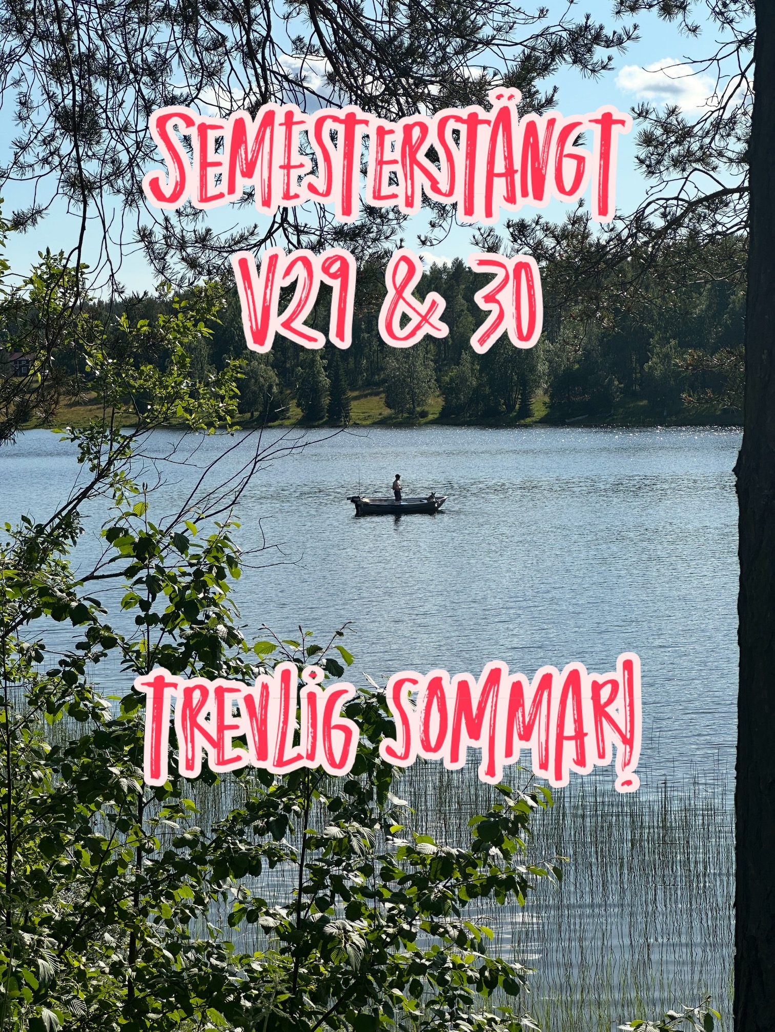 semesterstangt